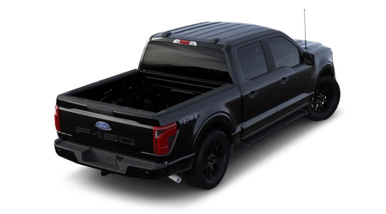 2024 Ford F-150 Vehicle Photo in Weatherford, TX 76087-8771